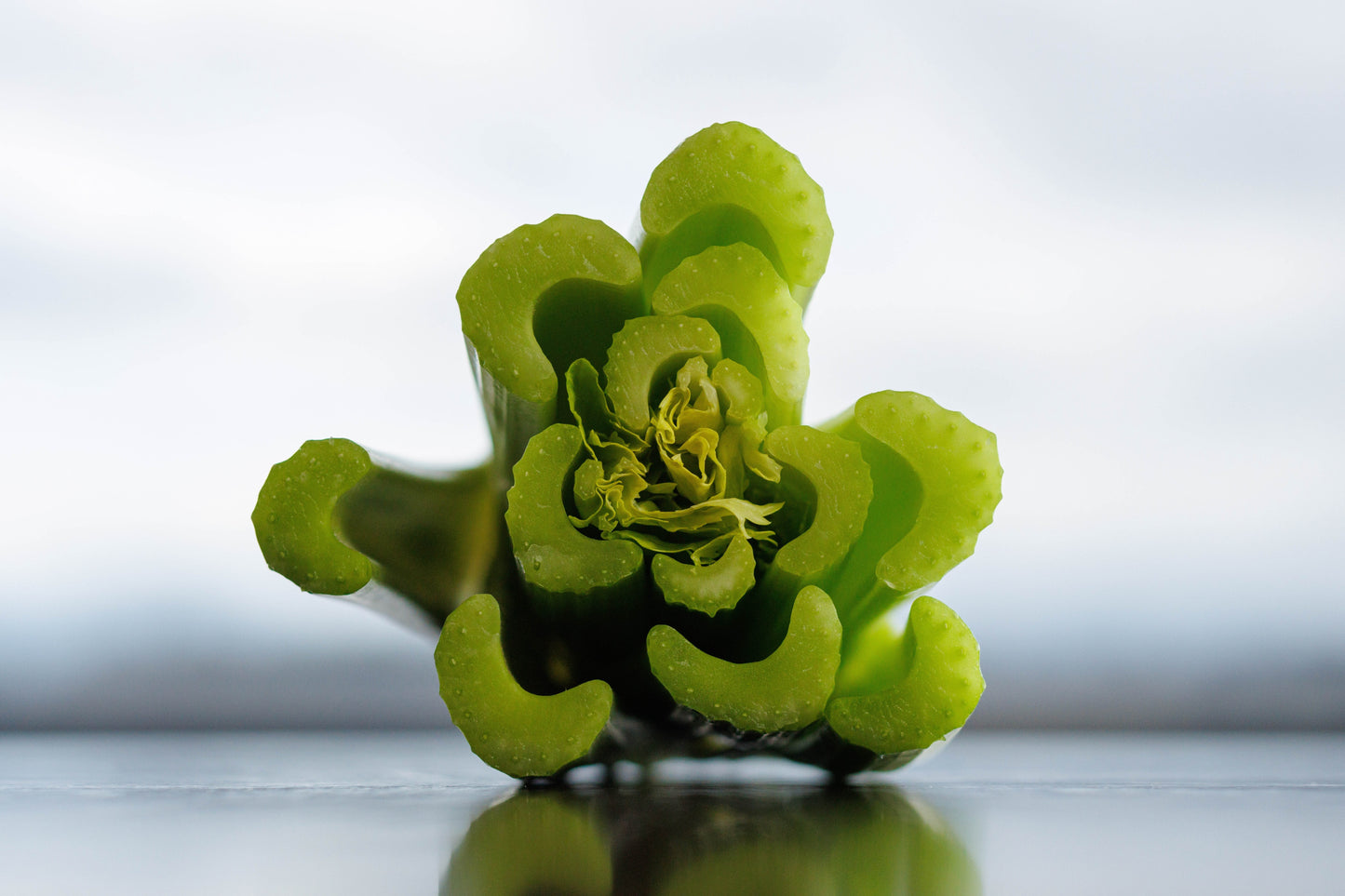 Celery Seeds (Tall Utah 52-72 Improved)