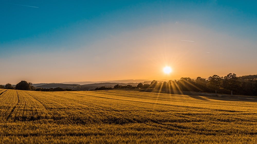 where to store emergency food heavens harvest