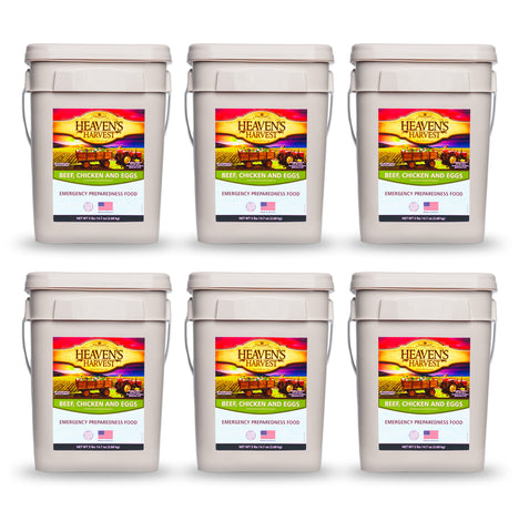 6 Pack Protein Booster Kit