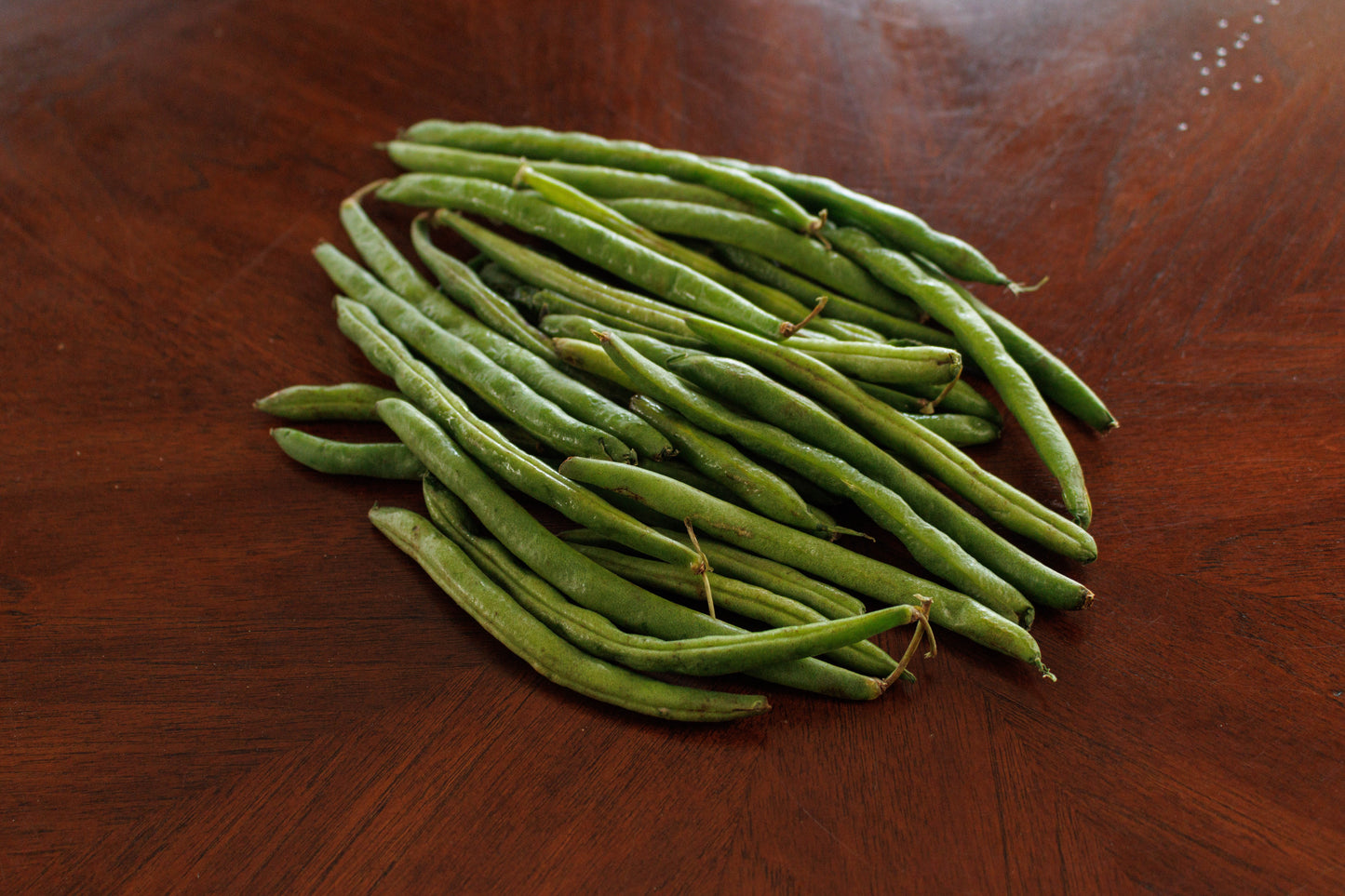 Bush Bean Seeds