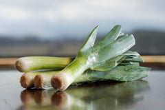 Leek Seeds (American Flag)