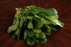 Spinach Seeds (Nobel Giant)