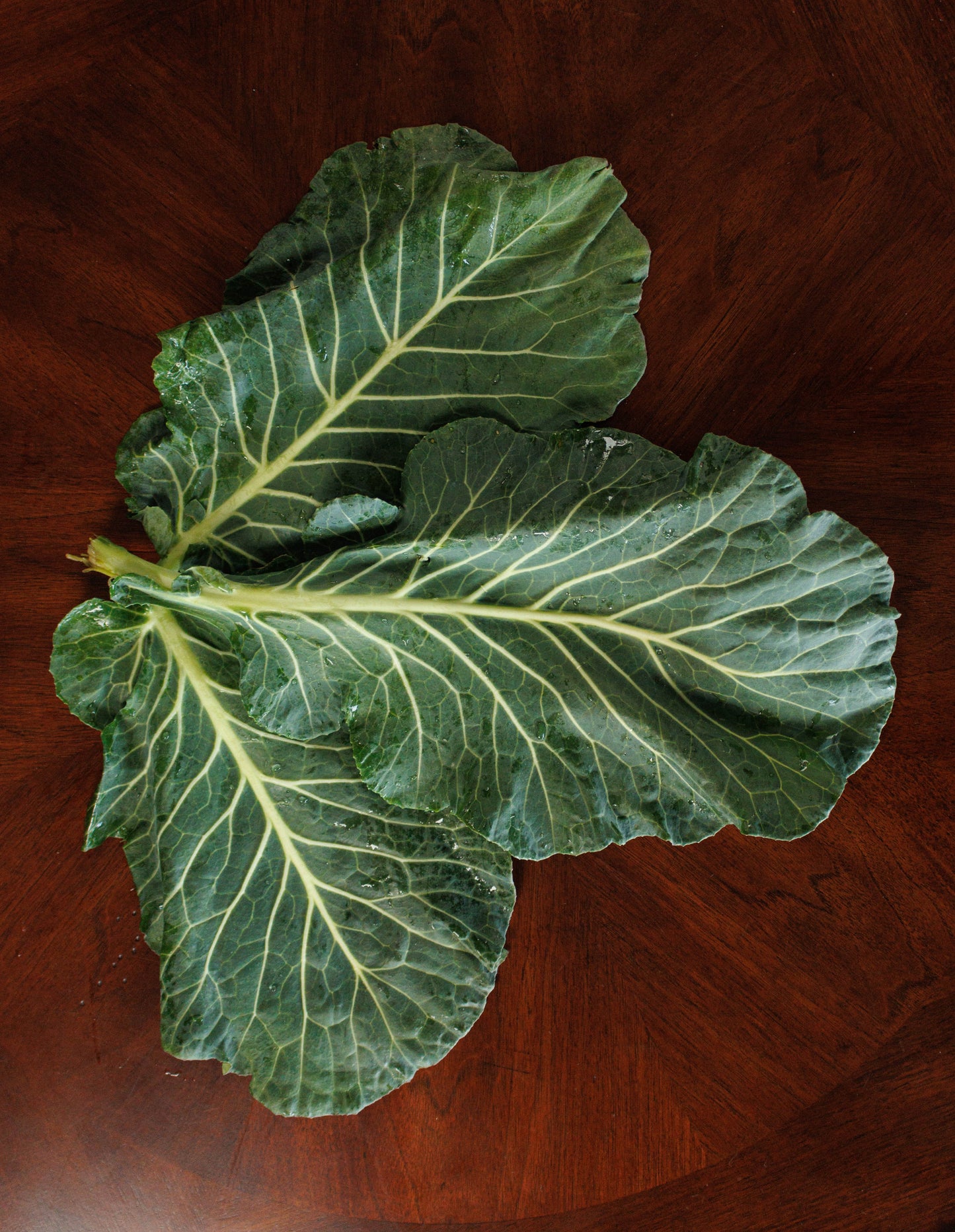 Collards Seeds (Champion)