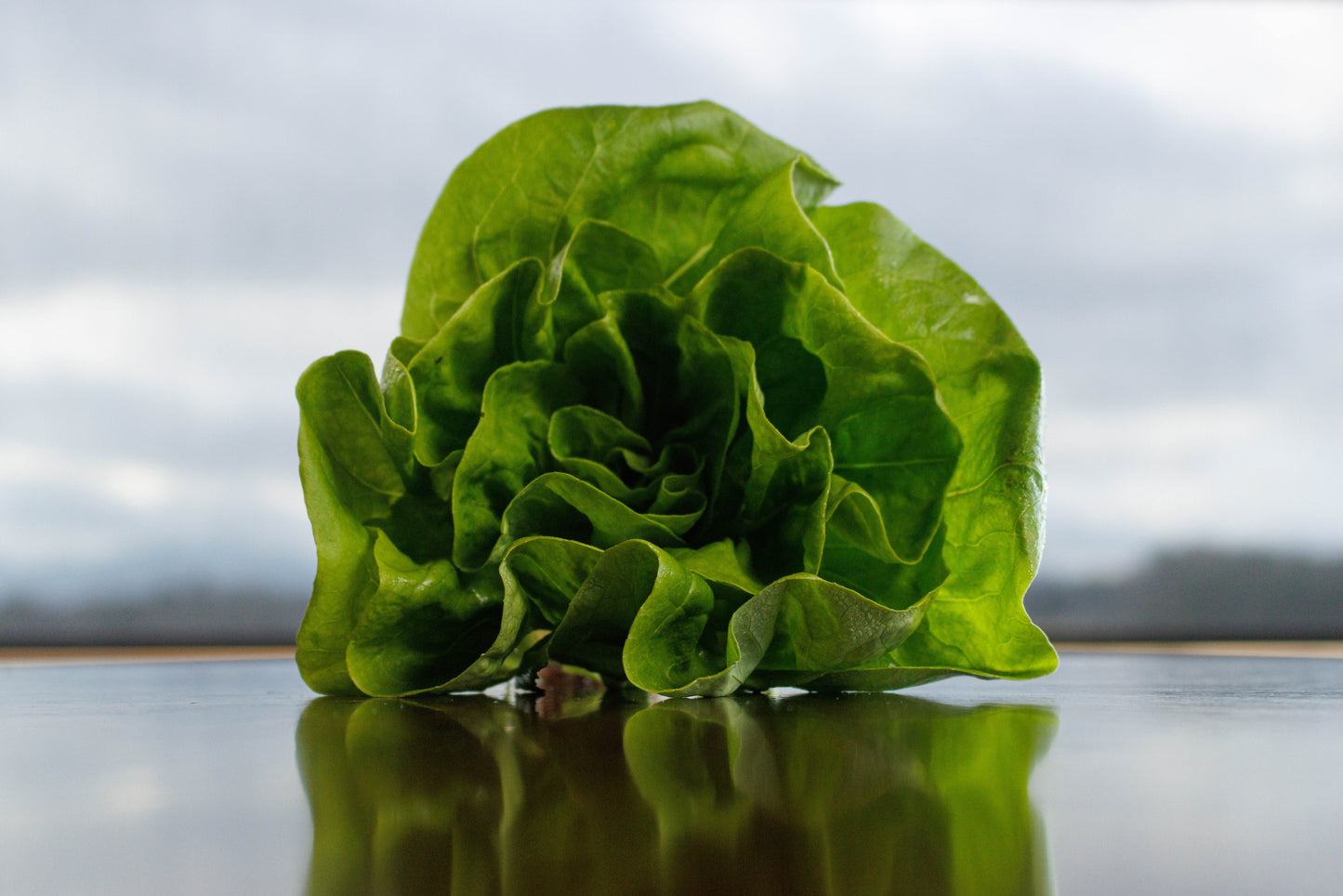 Lettuce Seeds (Buttercrunch)