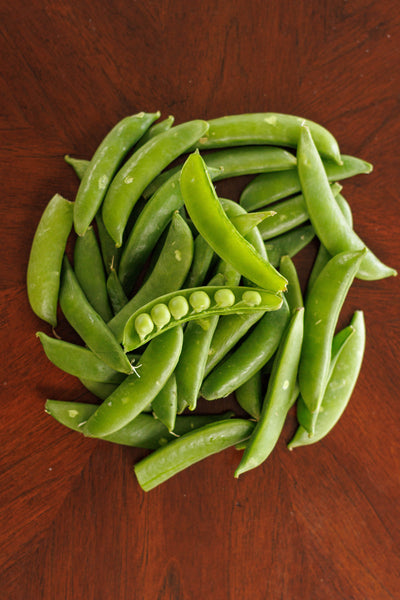 Pea Seeds (Sugar Ann)