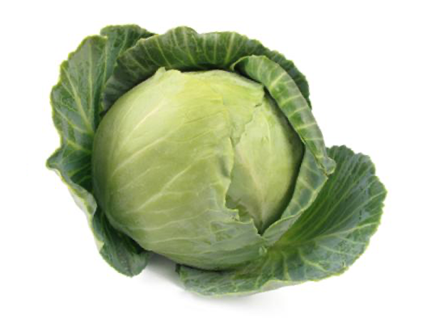 cabbage