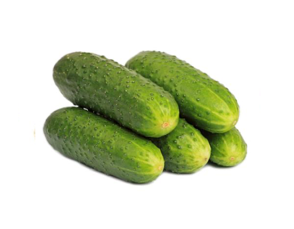 cucumber