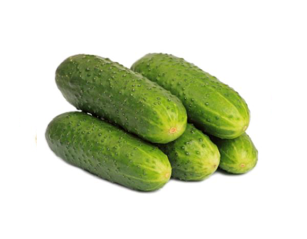 Cucumber (NATIONAL PICKLING)