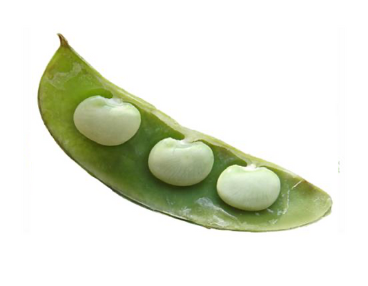 lima beans