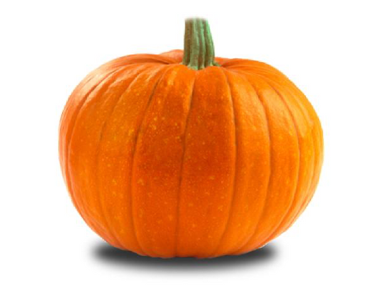 pumpkin