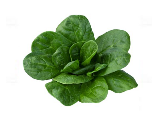 spinach