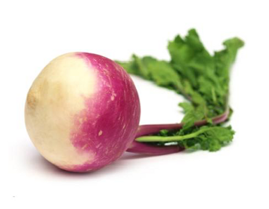 turnip